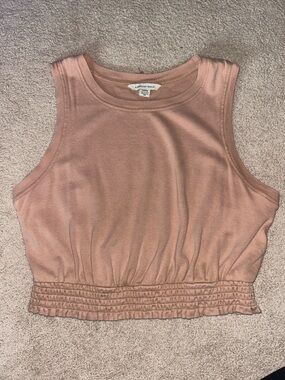 American Eagle Outfitters Dusty Rose Cropped Tank